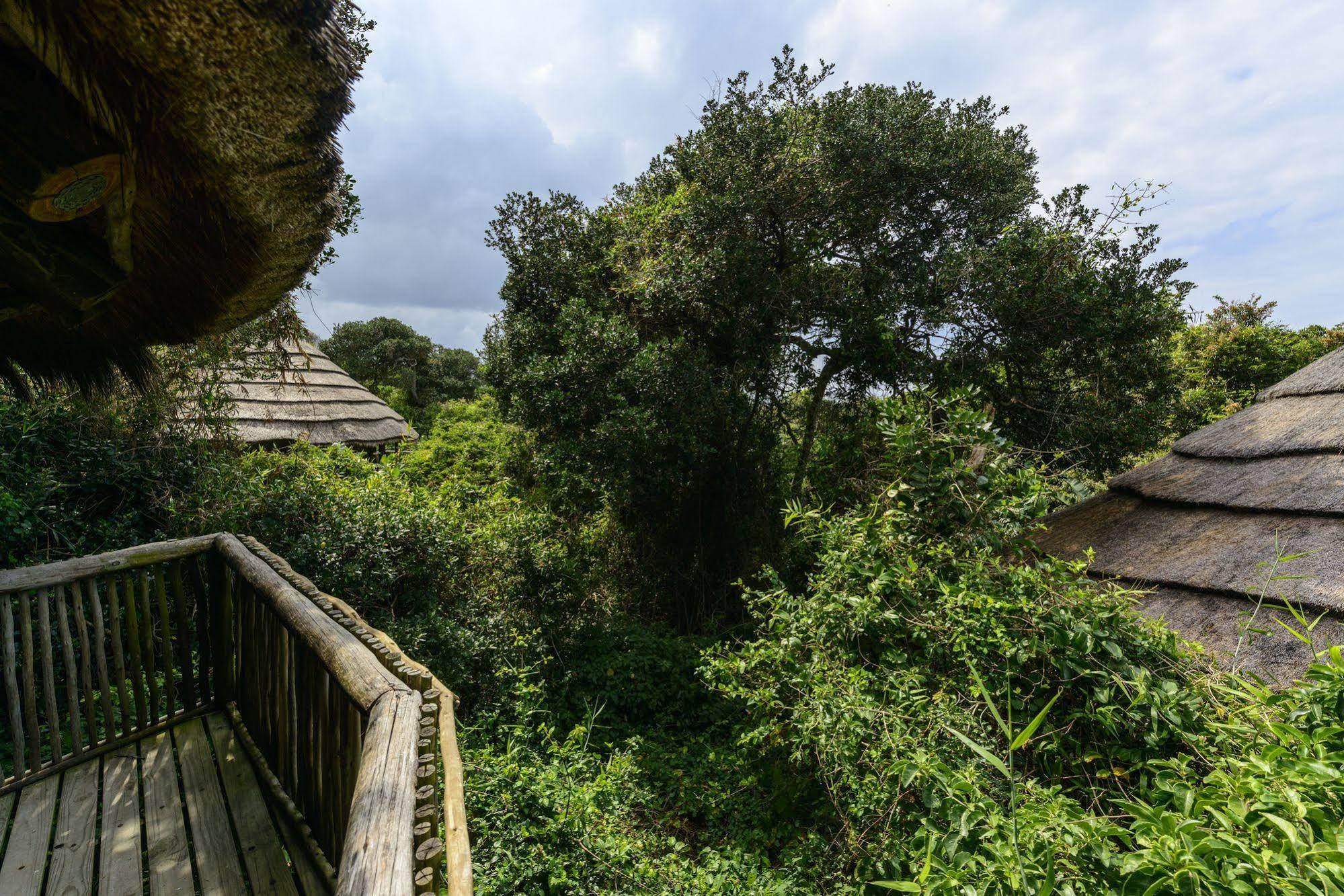 Thonga Beach Lodge Mabibi Экстерьер фото